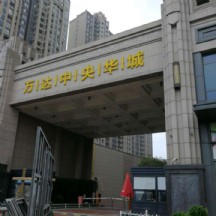 万达中央华城